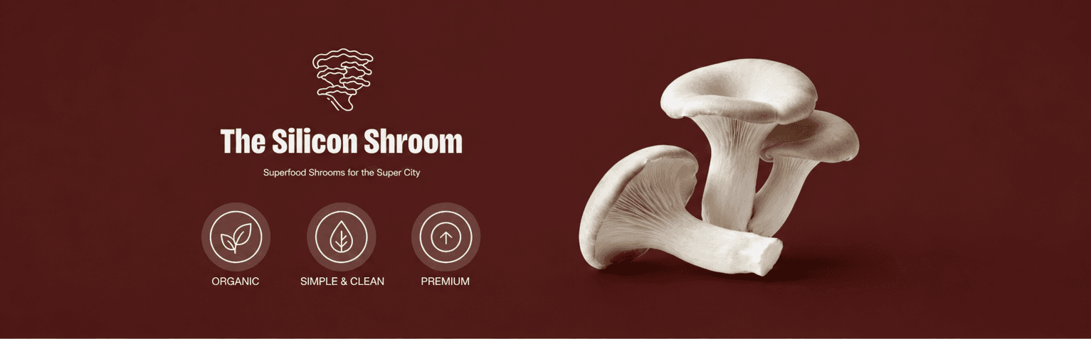 Chemical-free oyster mushrooms growing at The Silicon Shroom Bengaluru