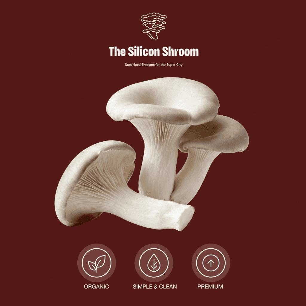 Fresh organic gray oyster mushrooms from The Silicon Shroom Bengaluru